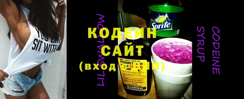 продажа наркотиков  ссылка на мегу ссылка  Кодеиновый сироп Lean Purple Drank  Карабаново 