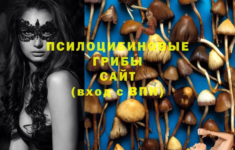 Галлюциногенные грибы Magic Shrooms  Карабаново 