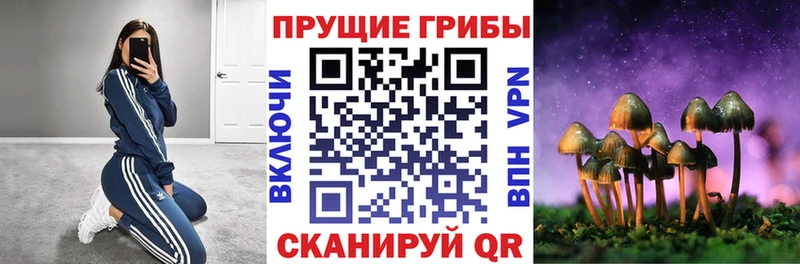 mega ссылки  купить наркотики сайты  Карабаново  Галлюциногенные грибы Magic Shrooms 